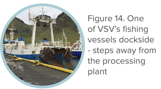 Figure 14. One of VSV’s fishing vessels dockside - steps away from the processing plant